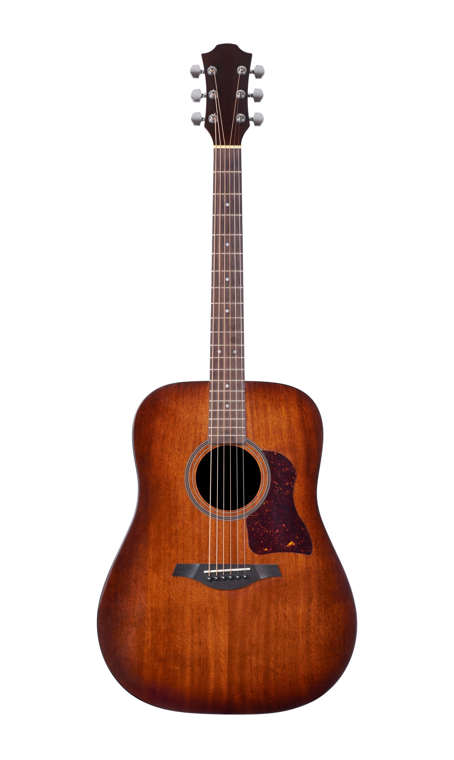 acoustic guitar